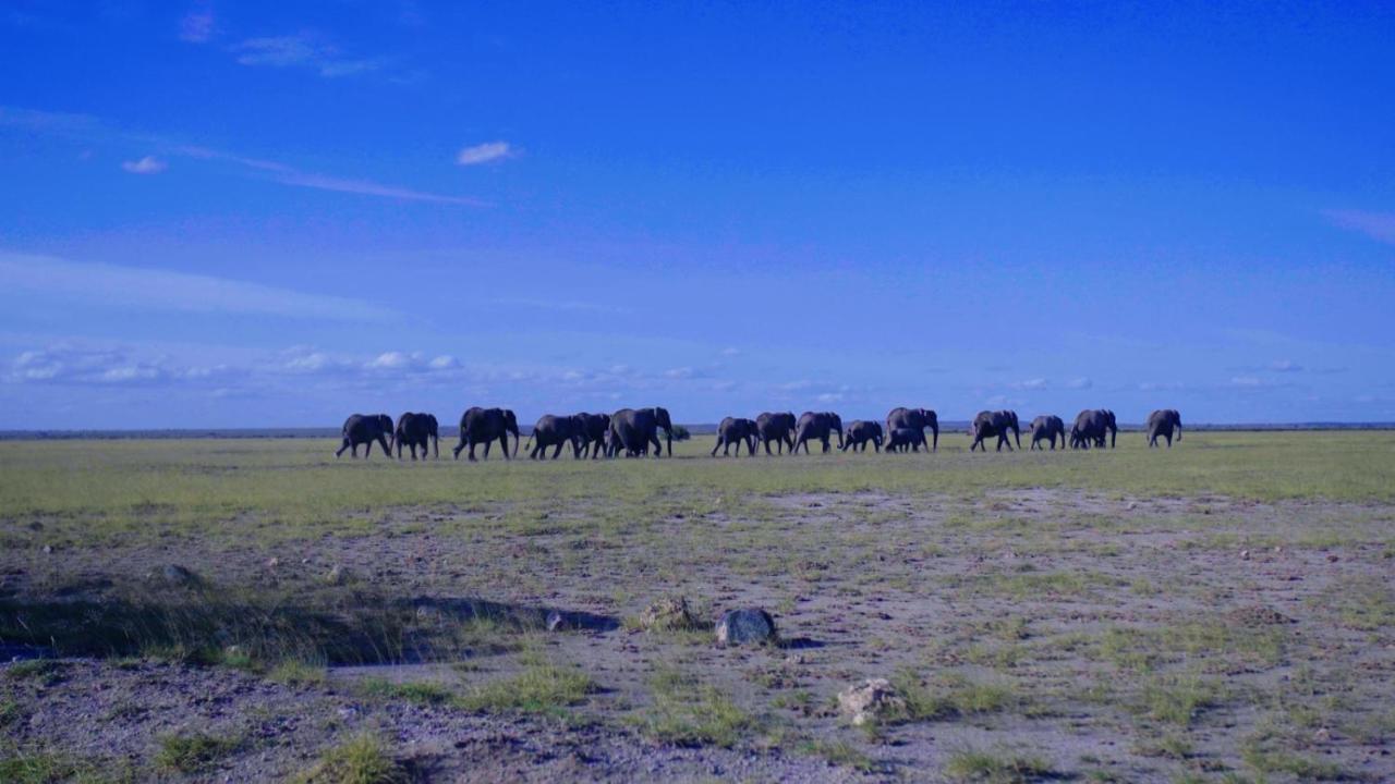 Amboseli Gateway Hotel Kimana المظهر الخارجي الصورة